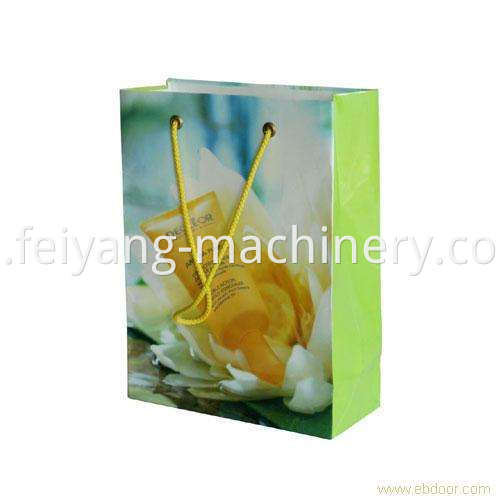 Shopping Paper Bag Eyelet Machine